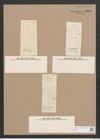 Pleurosigma sp. (de-Toni-Nr.: Genus 13) Zeichnungen Sammlung Grunow Nr. 2181 (NHMW-BOT-W0369248)